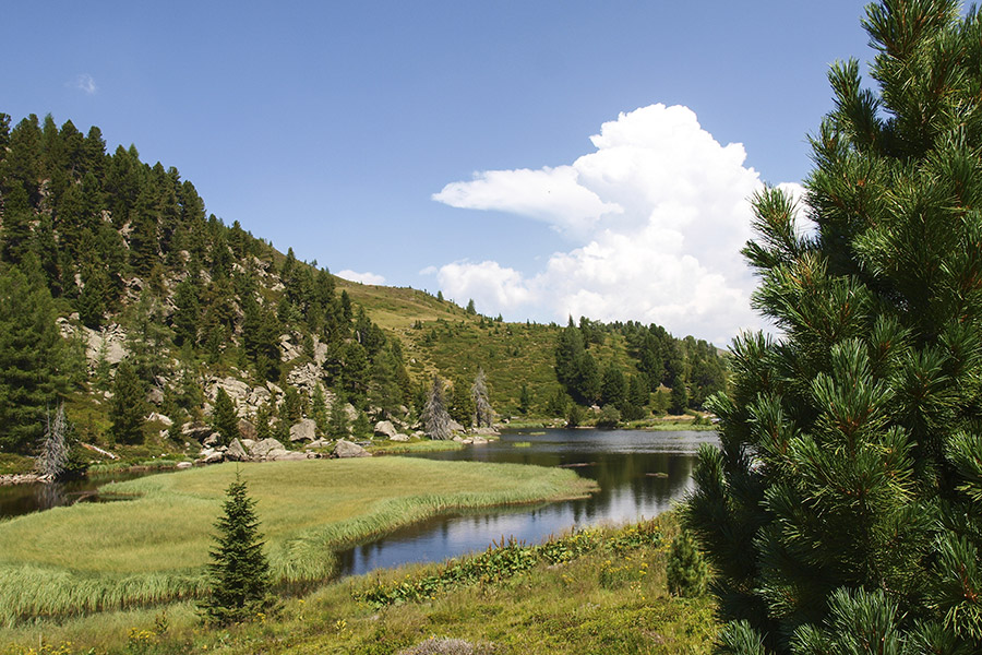 Apartments Col da Vent Corvara