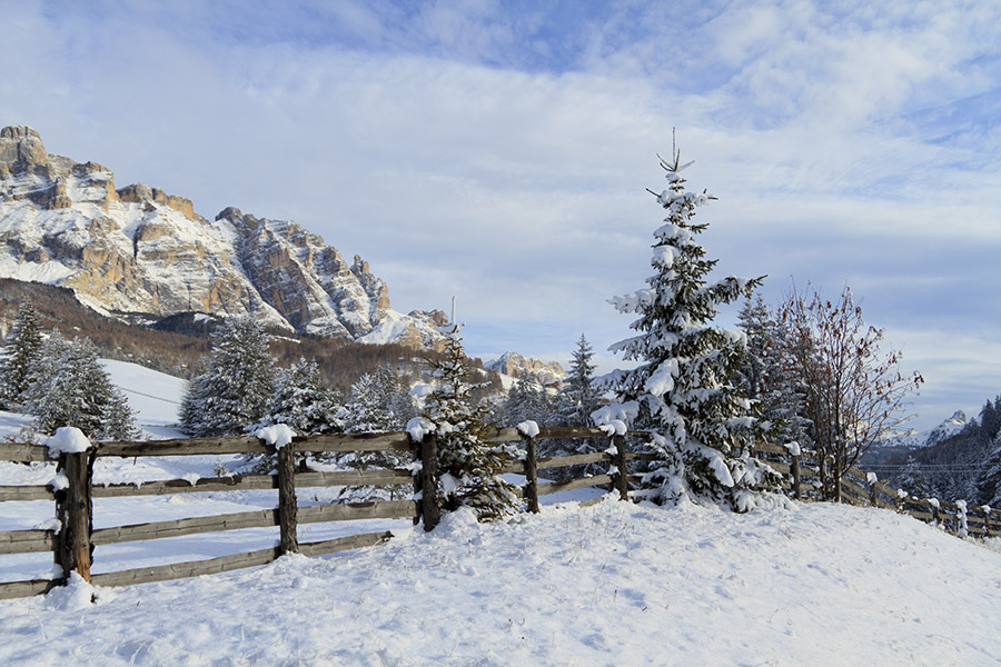 Apartments Col da Vent Corvara
