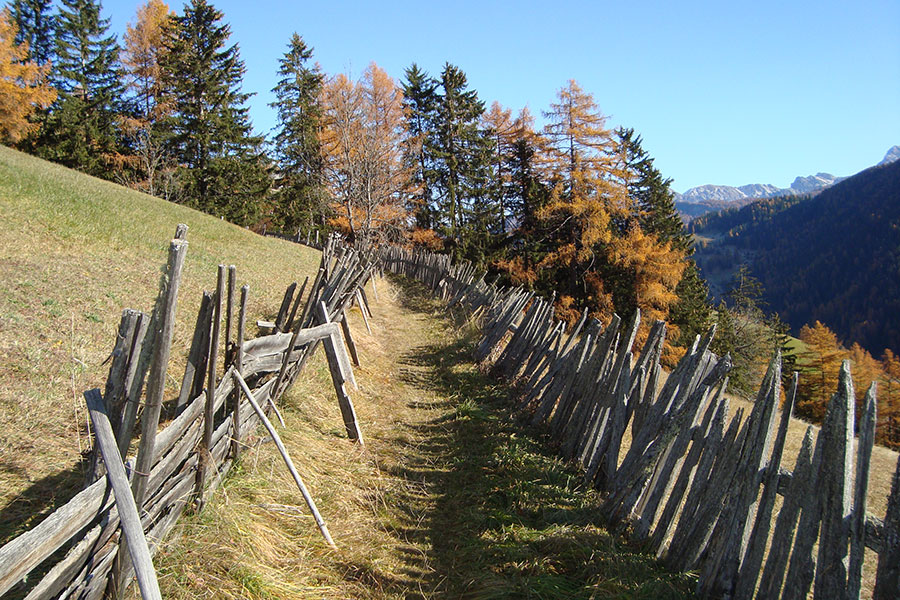 Apartments Col da Vent Corvara