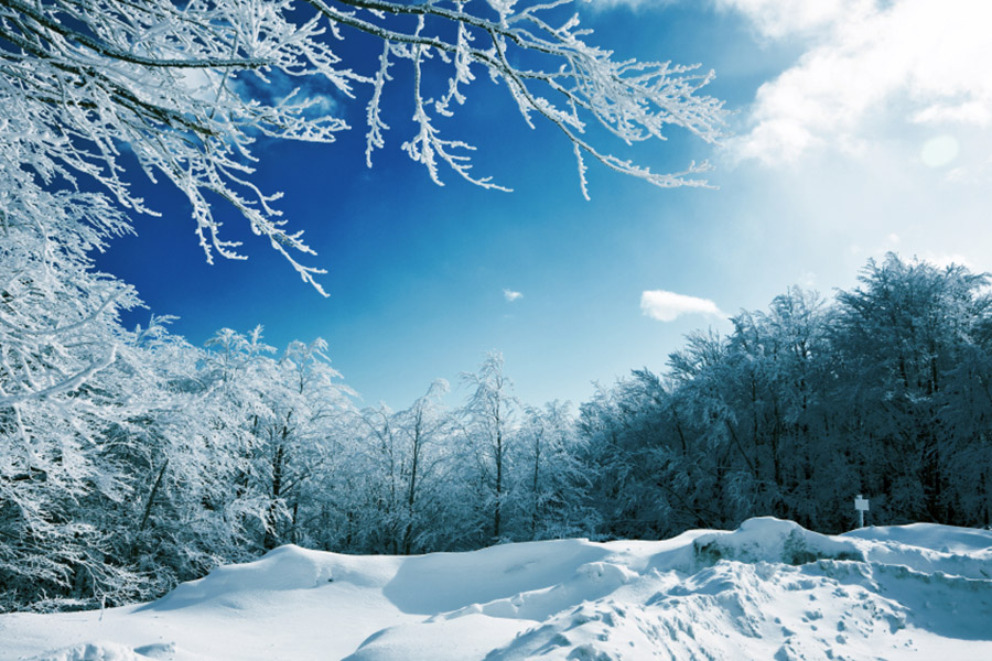 Apartments Col da Vent Corvara